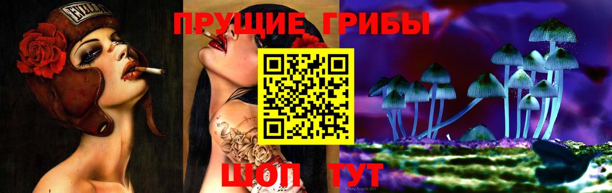 Галлюциногенные грибы ЛСД  Вход с VPN  Галлюциногенные грибы мицелий  Курчалой 